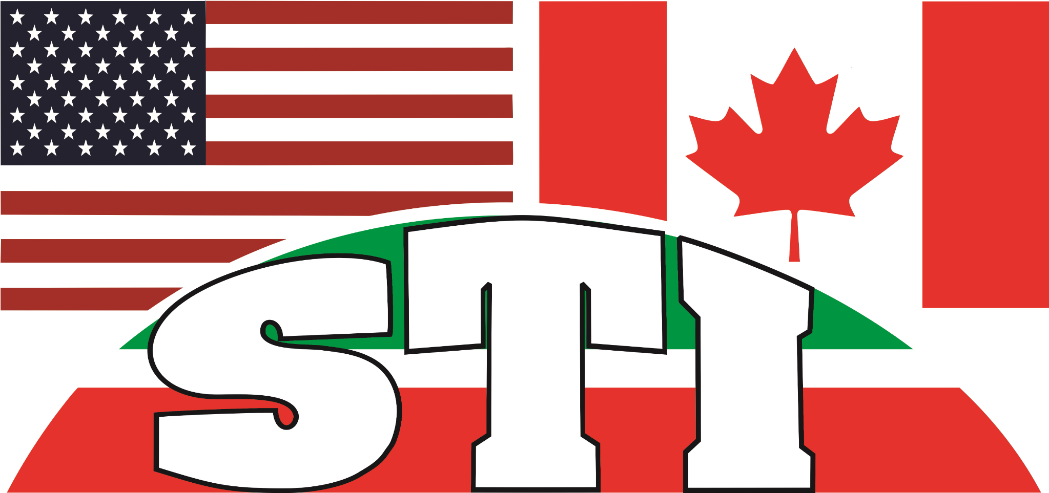 STI Logo